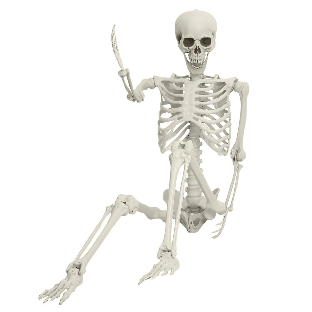 Life Size Imitation Skeleton with Posable Joints O467