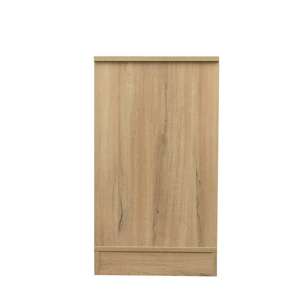 Sliding Barn Door Wood TV Stand with Adjustable Shelves D68330