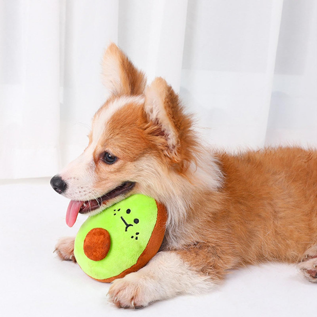 Bite Resistant Squeaky Stuffed Dog Toys K24433