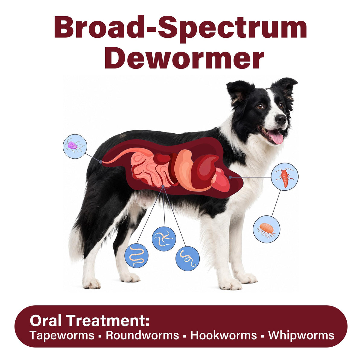 Dog Dewormer 30 Tablets Beef Flavor Y993