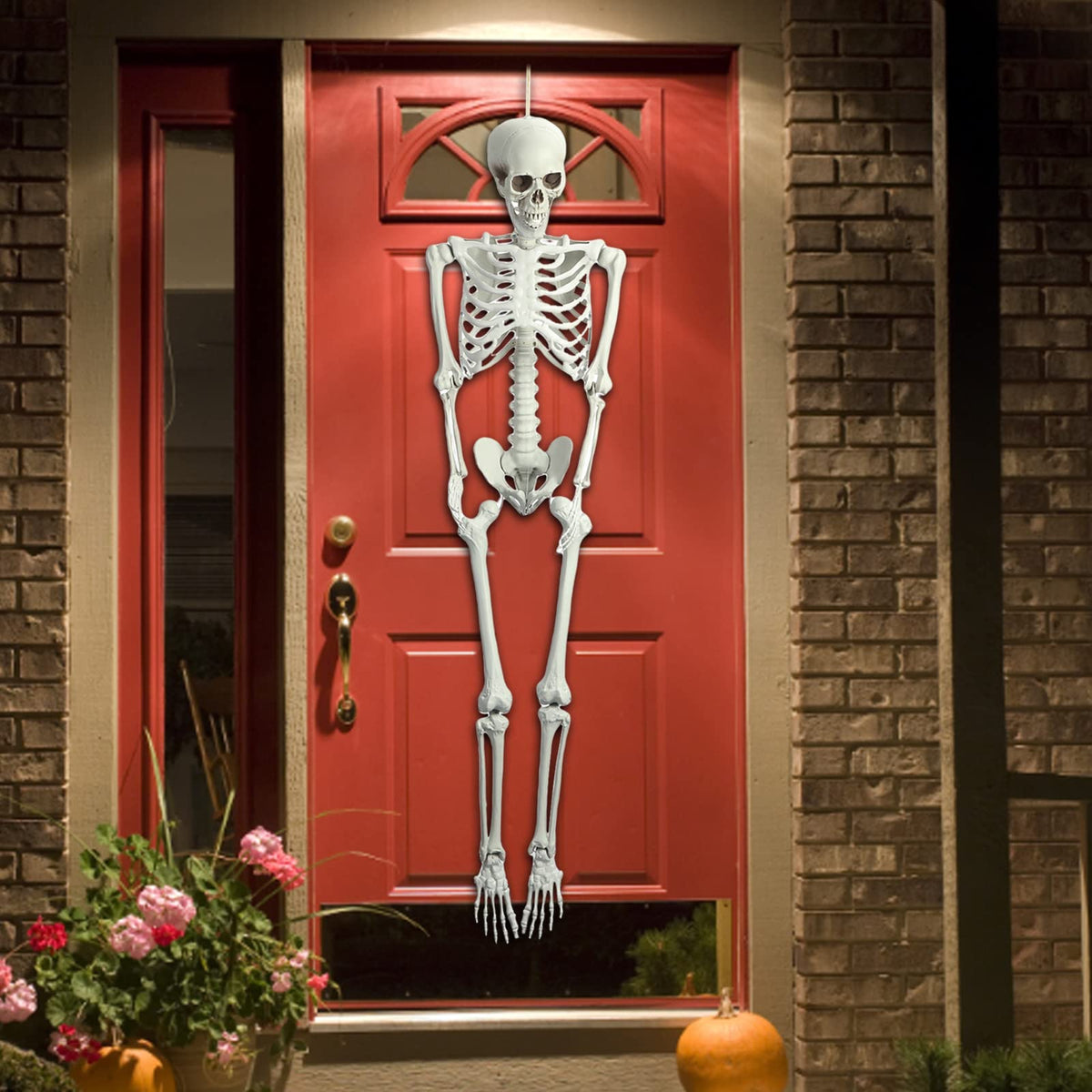 Life Size Imitation Skeleton with Posable Joints O467