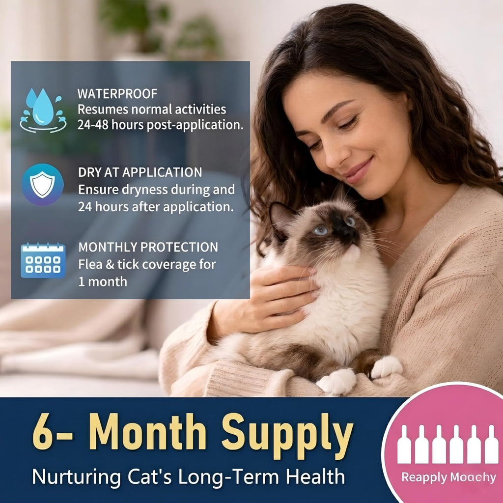 Topical Flea & Tick Cat Dewormer 6 Doses V38625