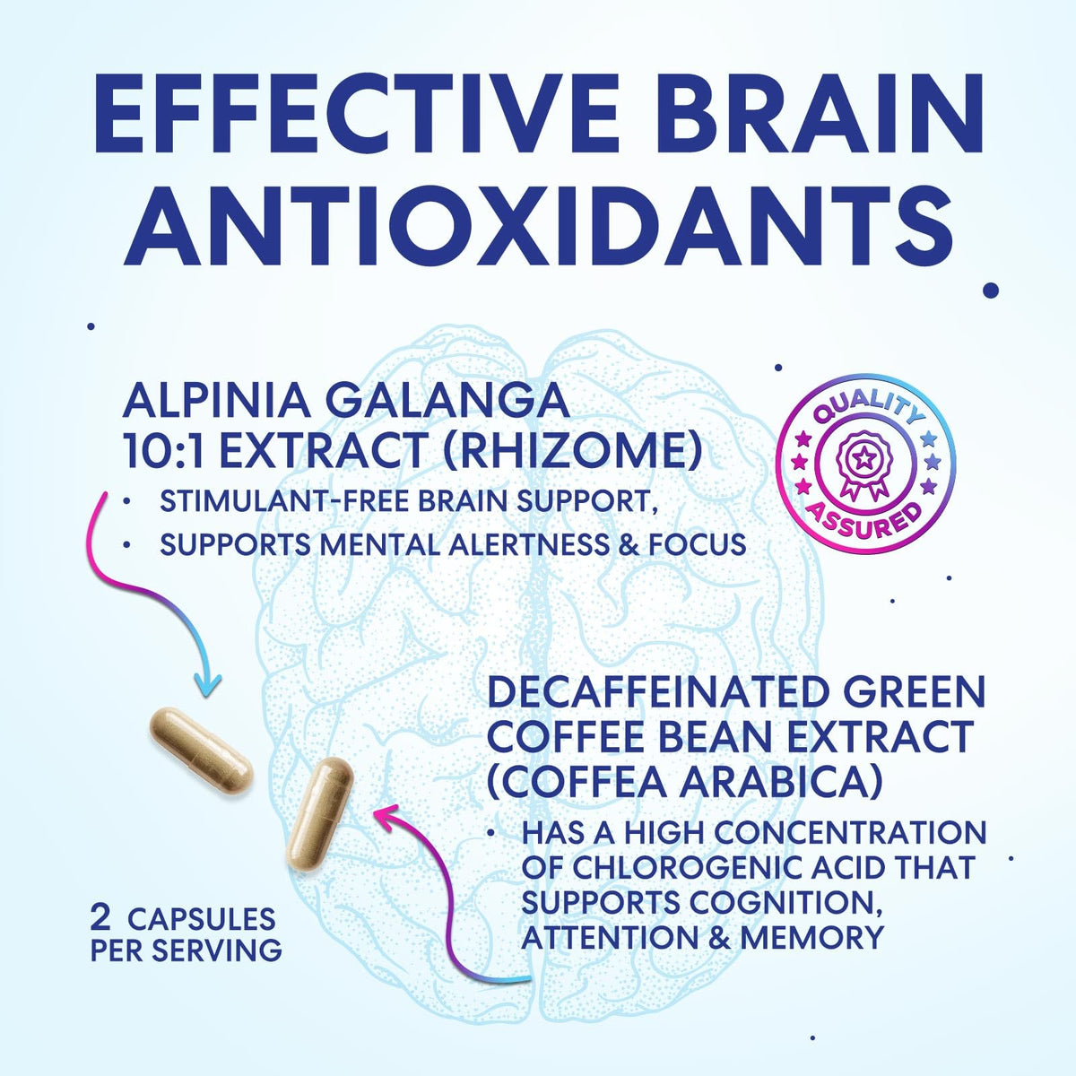 120 Capsules Brain Memory Supplement with Vitamin B6 B12 Folate & Phosphatidylserine K59676