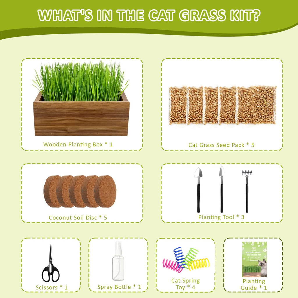 Cat Grass Kit with Wooden Planter 5 Pack K10927