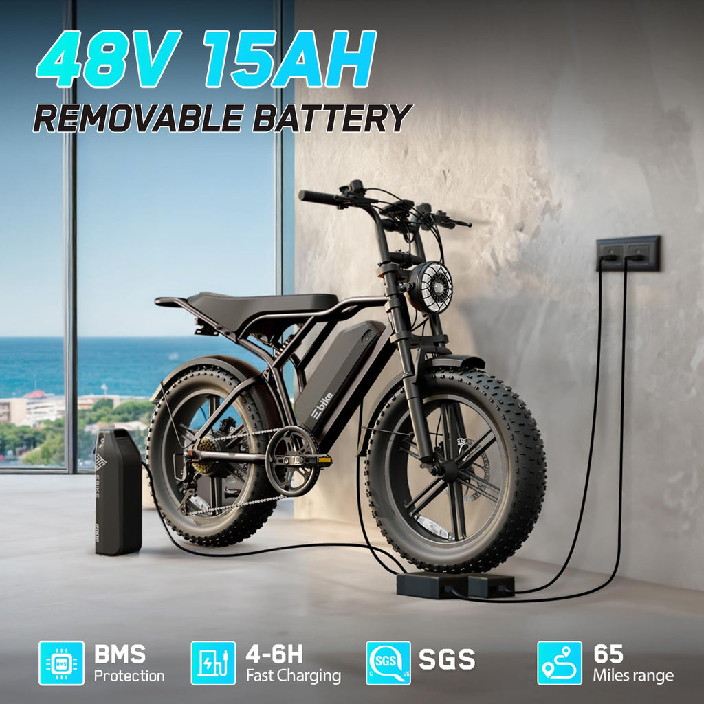 Electric Bike 48V 2000W Motor S86882