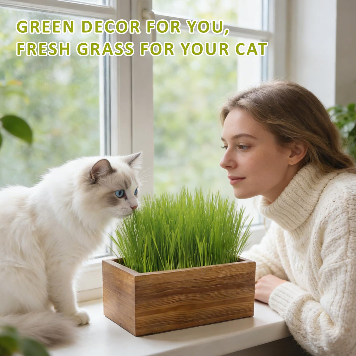Cat Grass Kit with Wooden Planter 5 Pack K10927