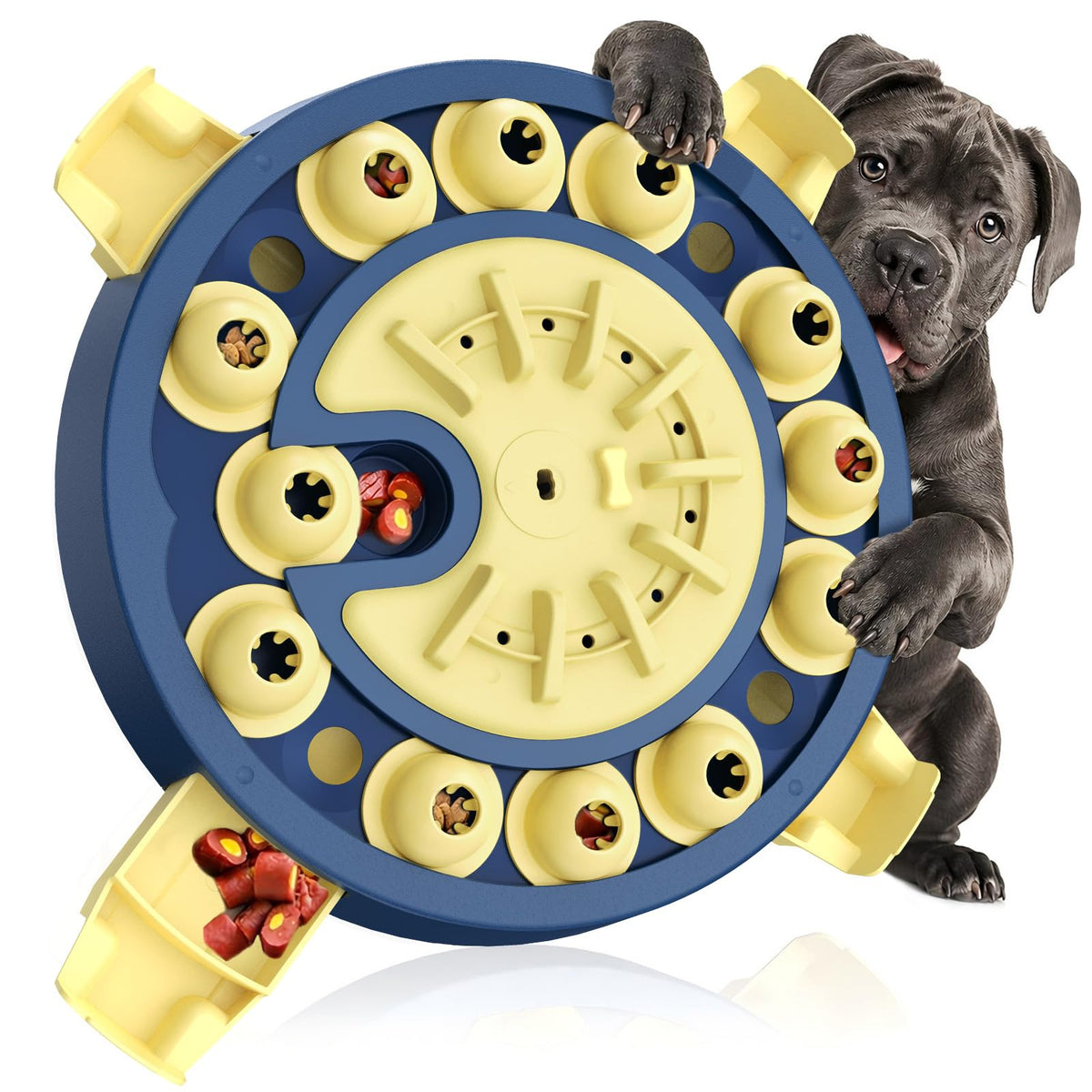 Large 3 Levels Dog Puzzle Toy E302