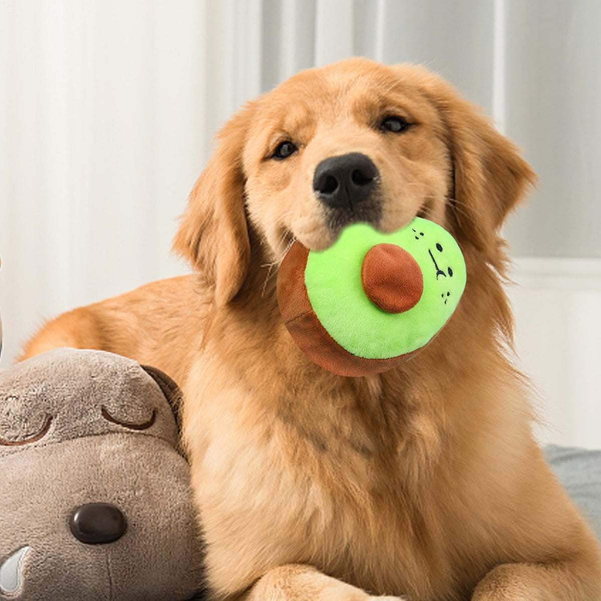 Bite Resistant Squeaky Stuffed Dog Toys K24433