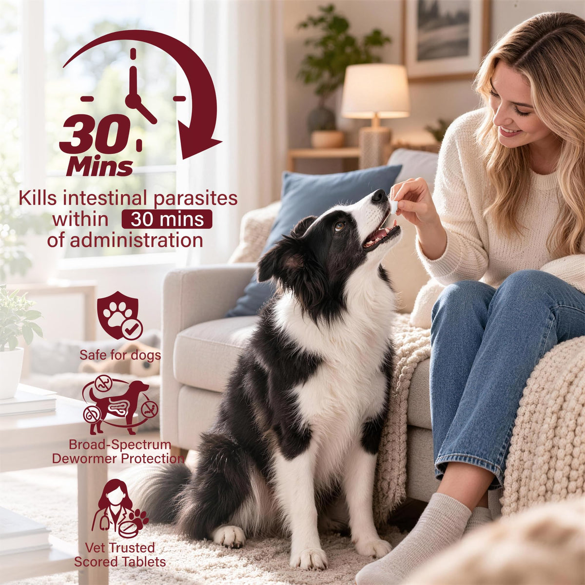 Dog Dewormer 30 Tablets Beef Flavor Y993