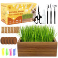 Cat Grass Kit with Wooden Planter 5 Pack K10927