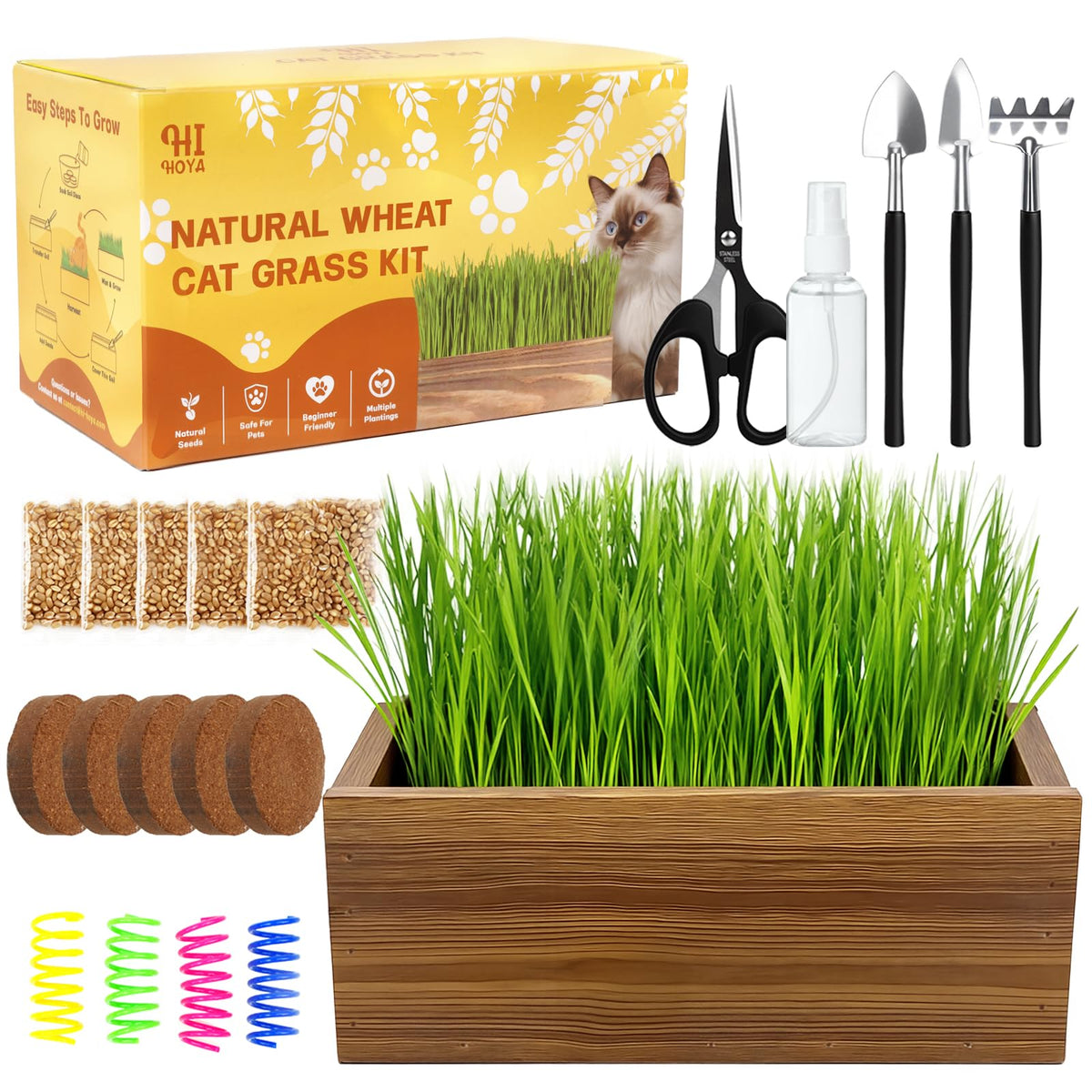 Cat Grass Kit with Wooden Planter 5 Pack K10927