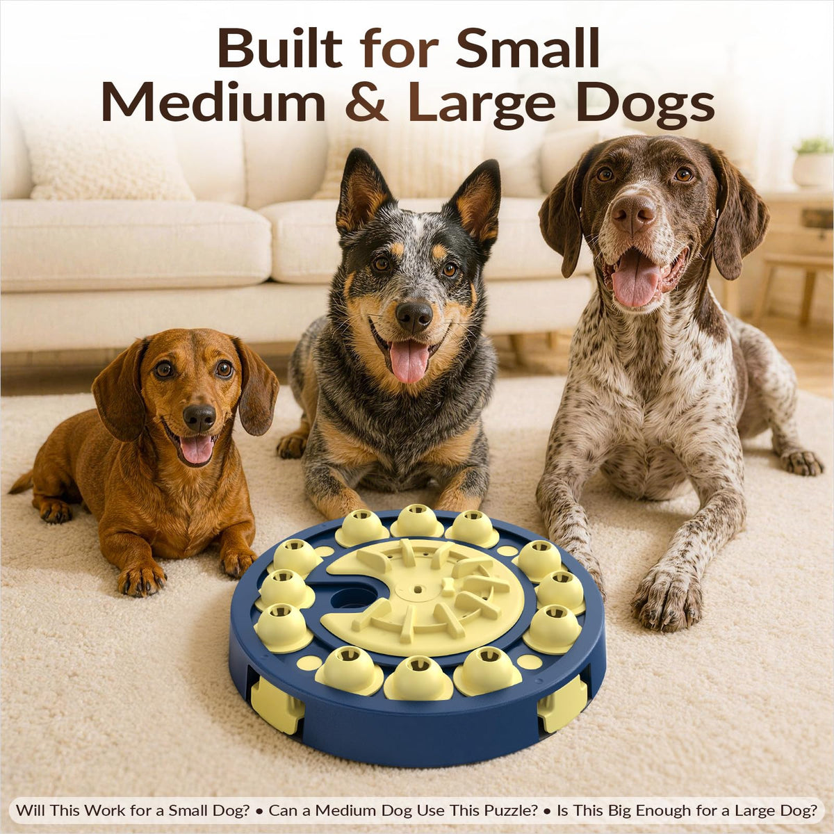 Large 3 Levels Dog Puzzle Toy E302