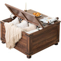 Brown Walnut Coffee Table with Hidden Storage S508