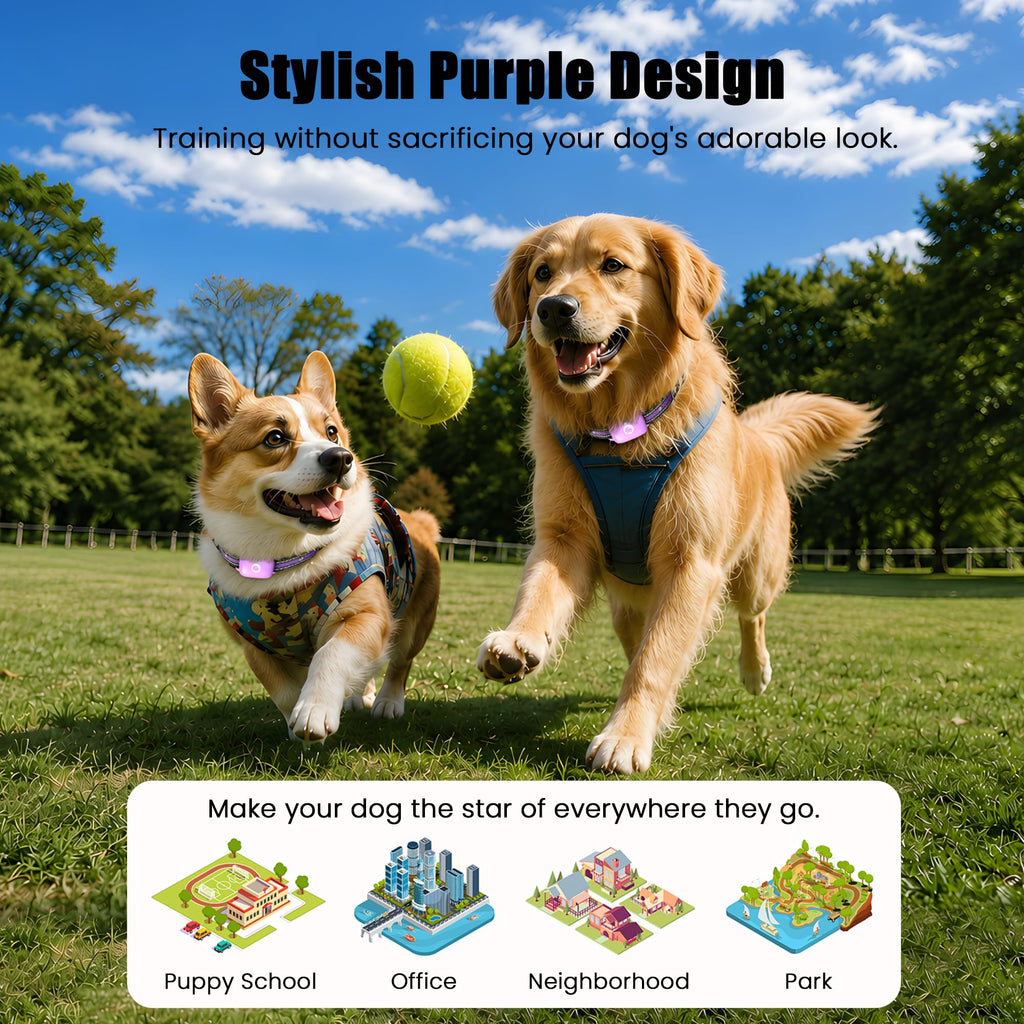 Dog Training Collar with Remote Purple L984989