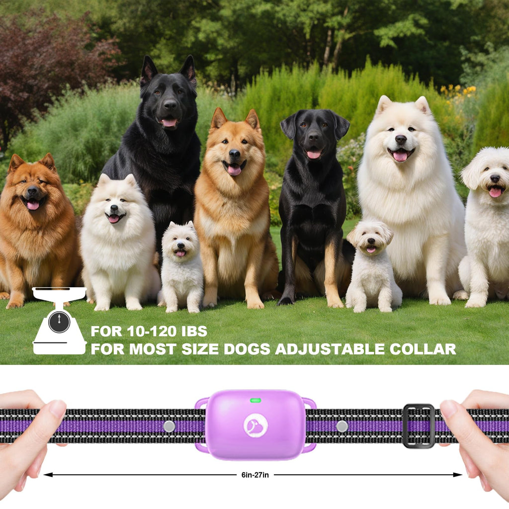 Dog Training Collar with Remote Purple L984989
