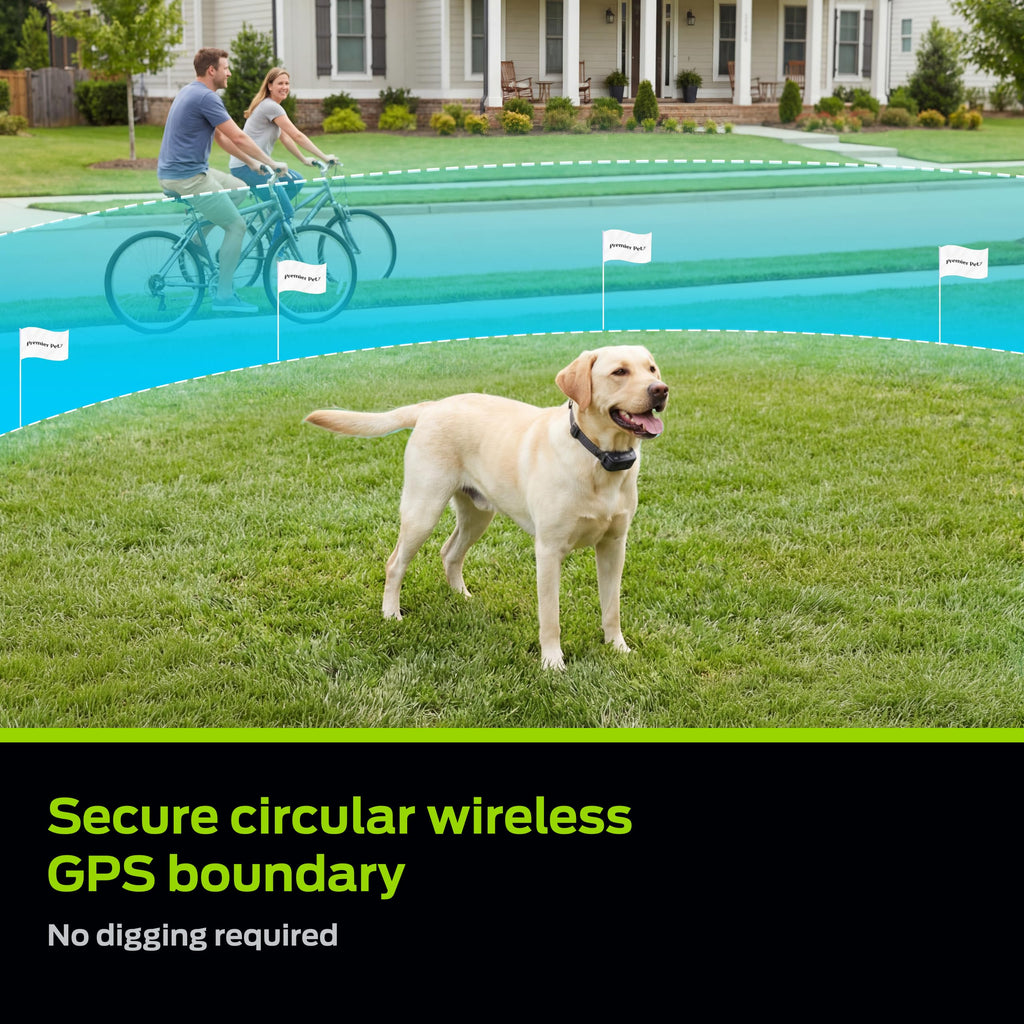 Wireless Fence F797167